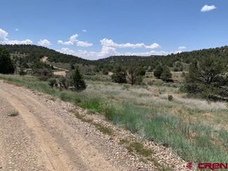 Navajo Dam, NM Residential - 337 County 4018 rd