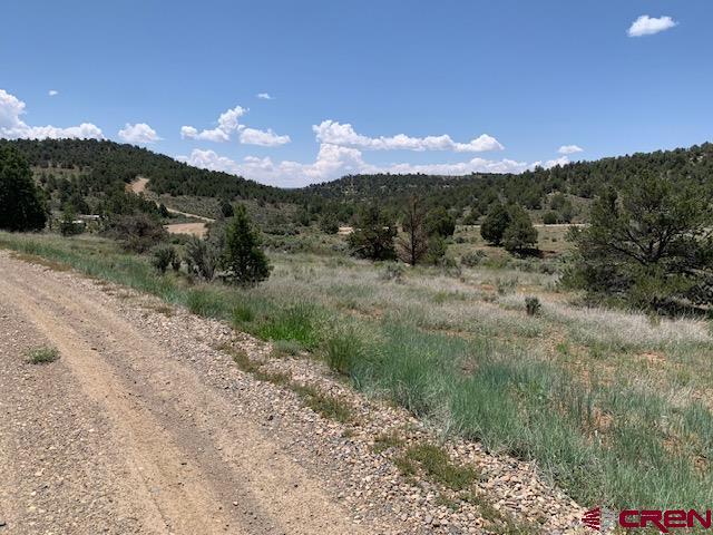 337 County 4018 rd, Navajo Dam, NM for Sale