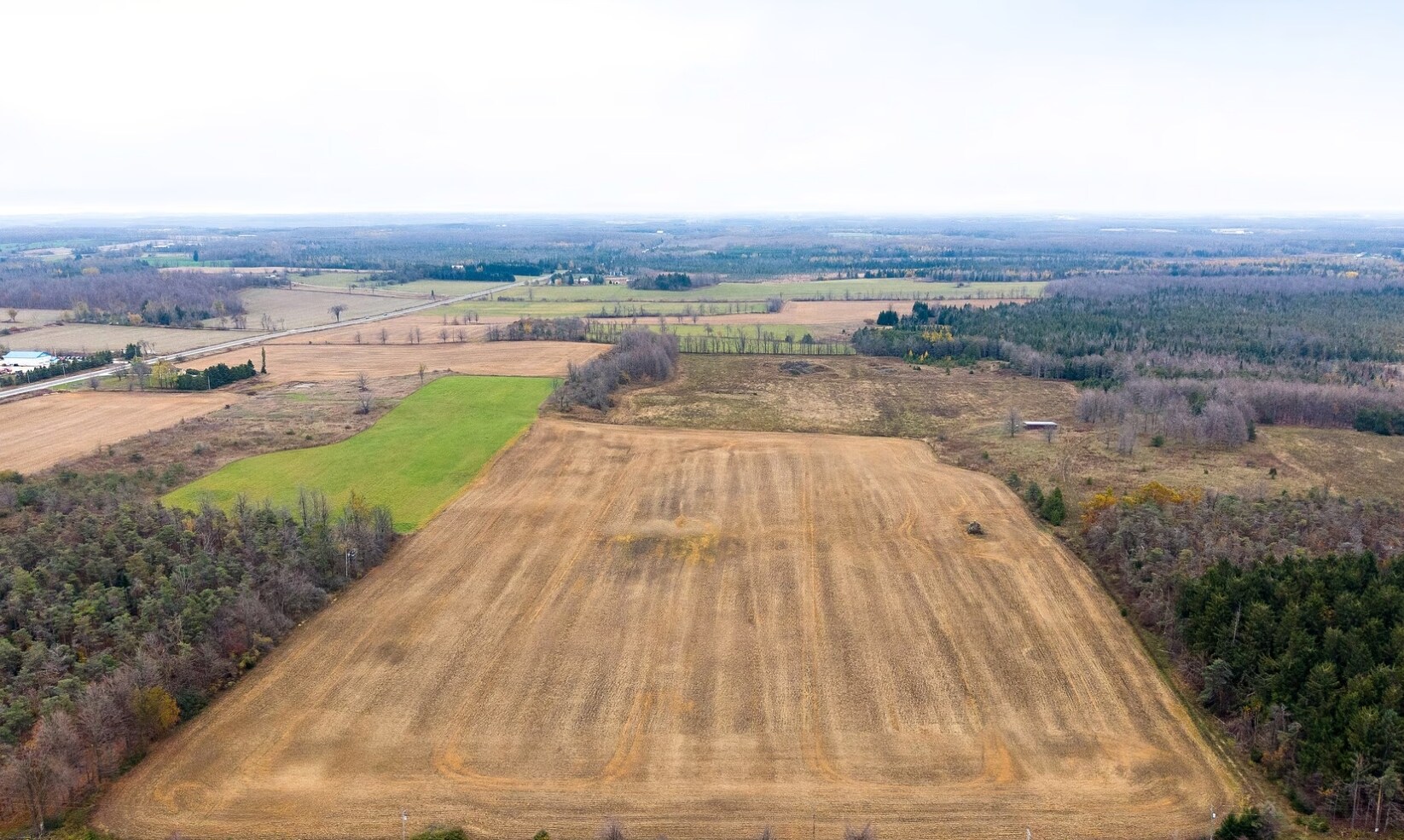793958 Grey County 124 rd, Badjeros, ON for Sale