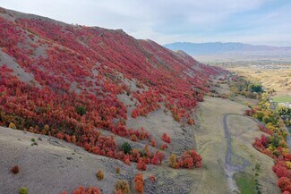 Smithfield, UT Agricultural - 1800 E Canyon Road