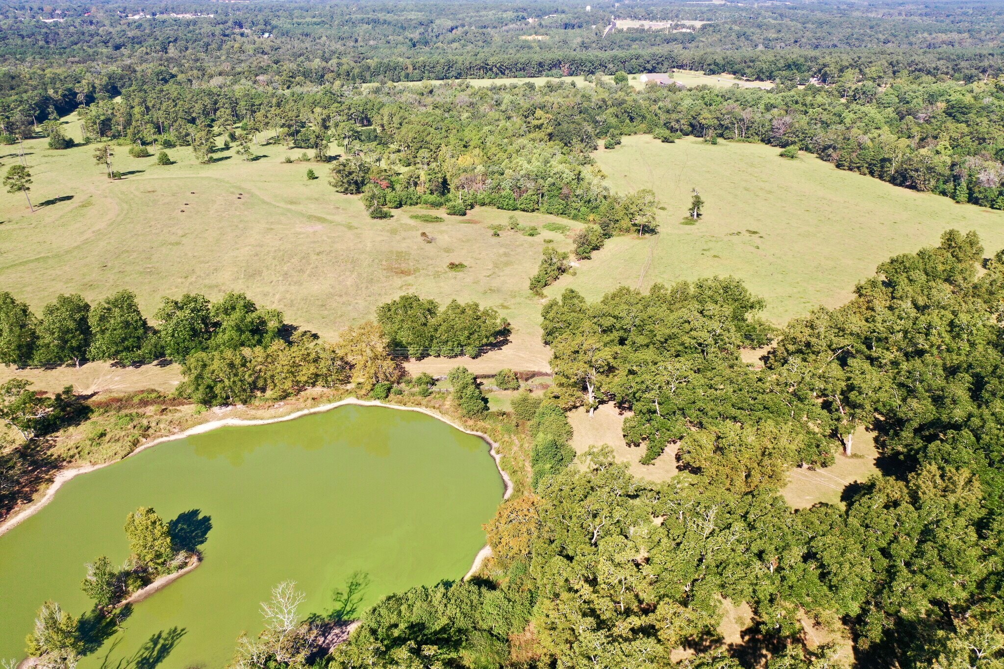 20th Street @ Hwy 188, Cairo, GA for Sale