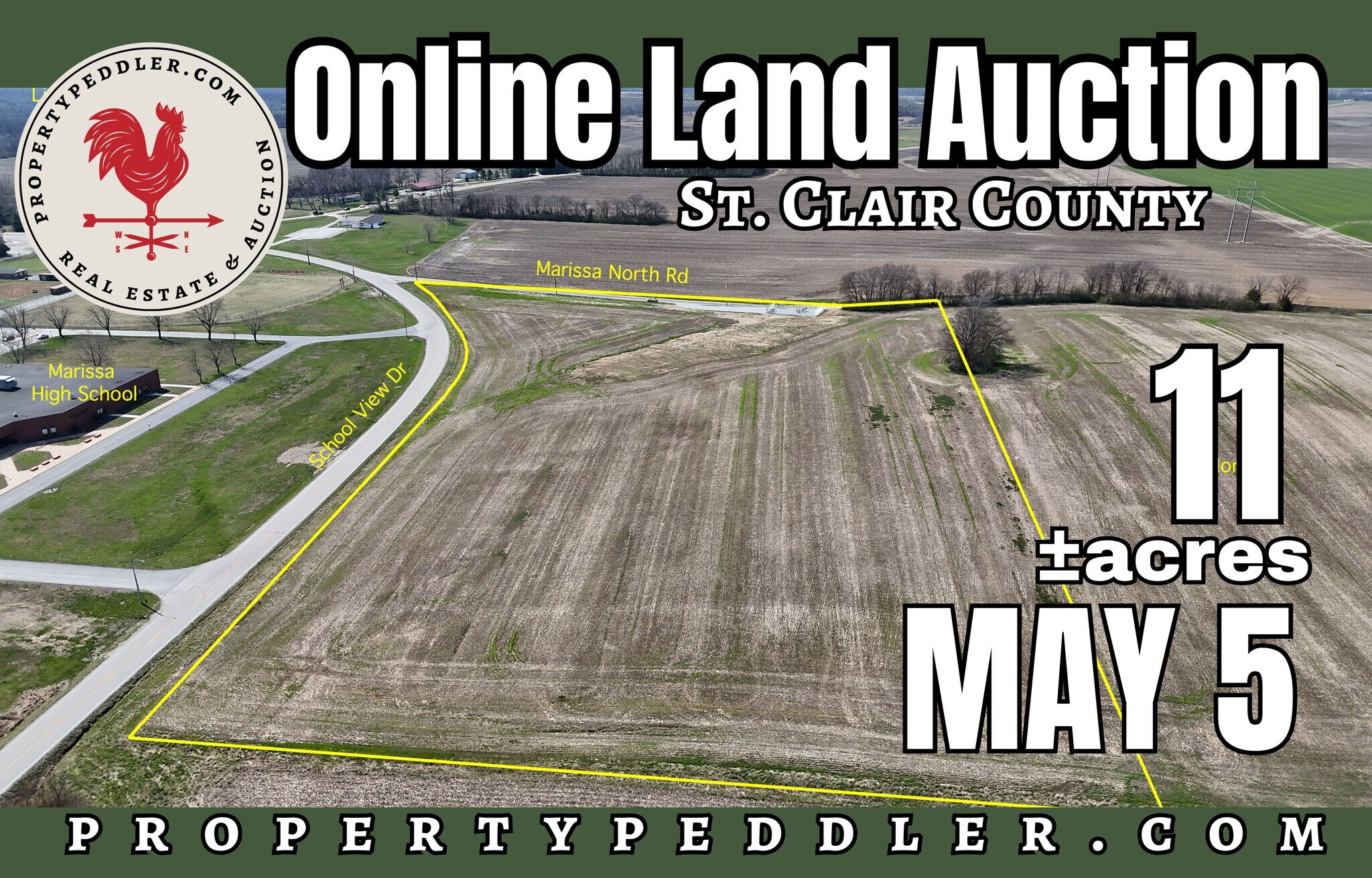 000 School View Drive Dr, Marissa, IL for Sale