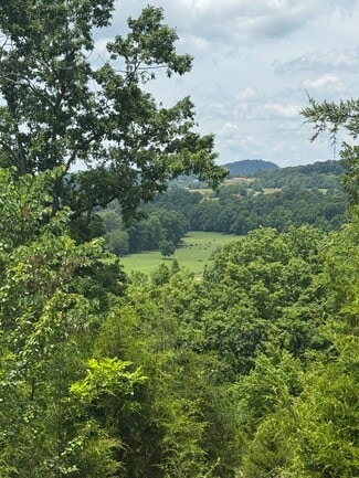 Surgoinsville, TN Agricultural - 210 Ridge Haven Drive Dr