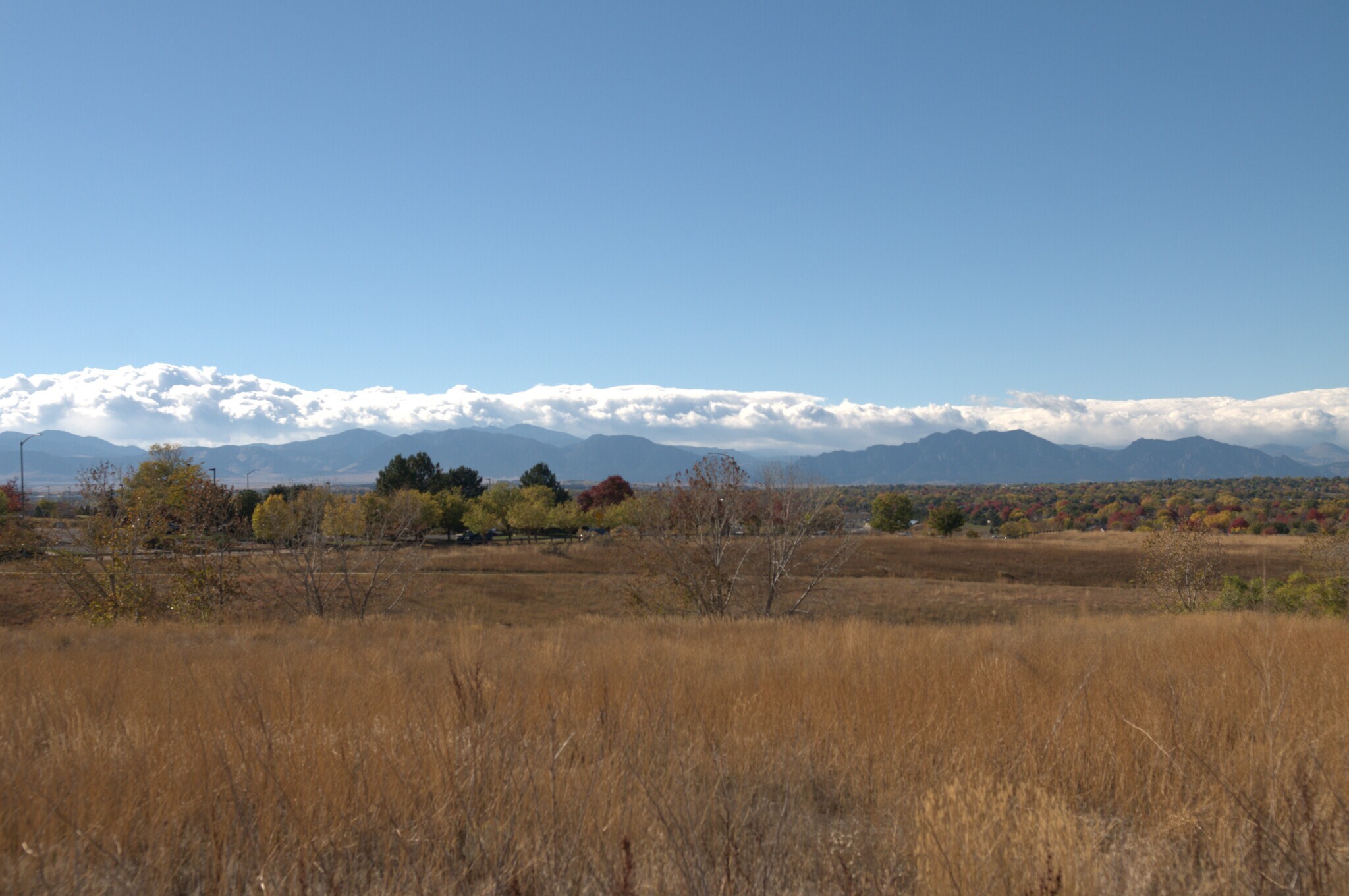 N Pecos St, Westminster, CO for Sale