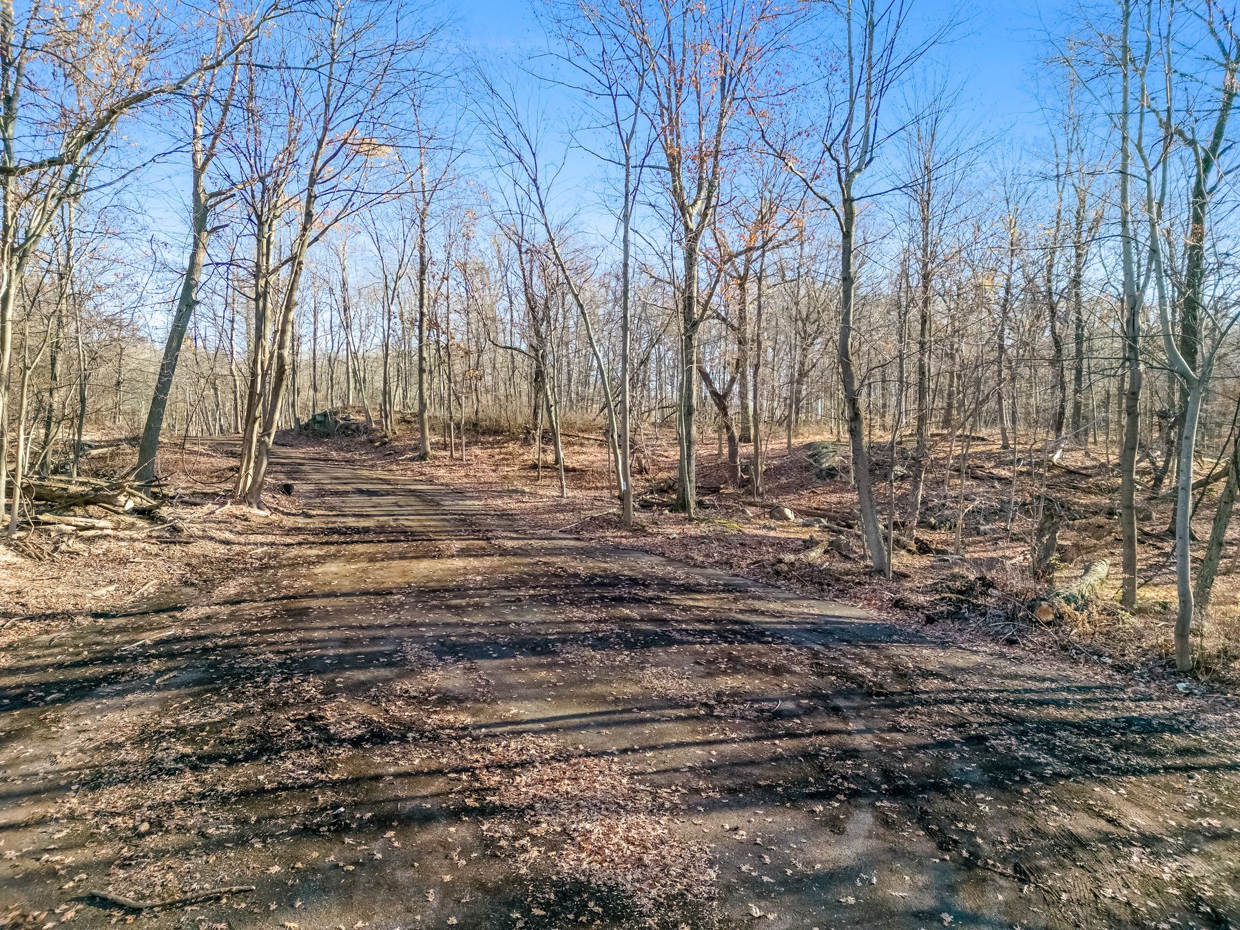 6 Old Farm way, Alpine, NJ for Sale