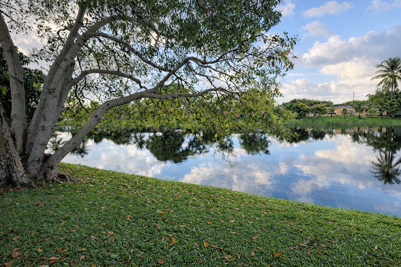 3700 NW 27th St, Lauderdale Lakes, FL for Sale