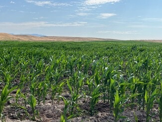 Emmett, ID Commercial - TBD Rockin B Lane