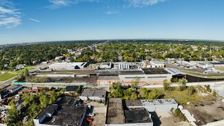 Detroit, MI Industrial - 8951 Alpine St