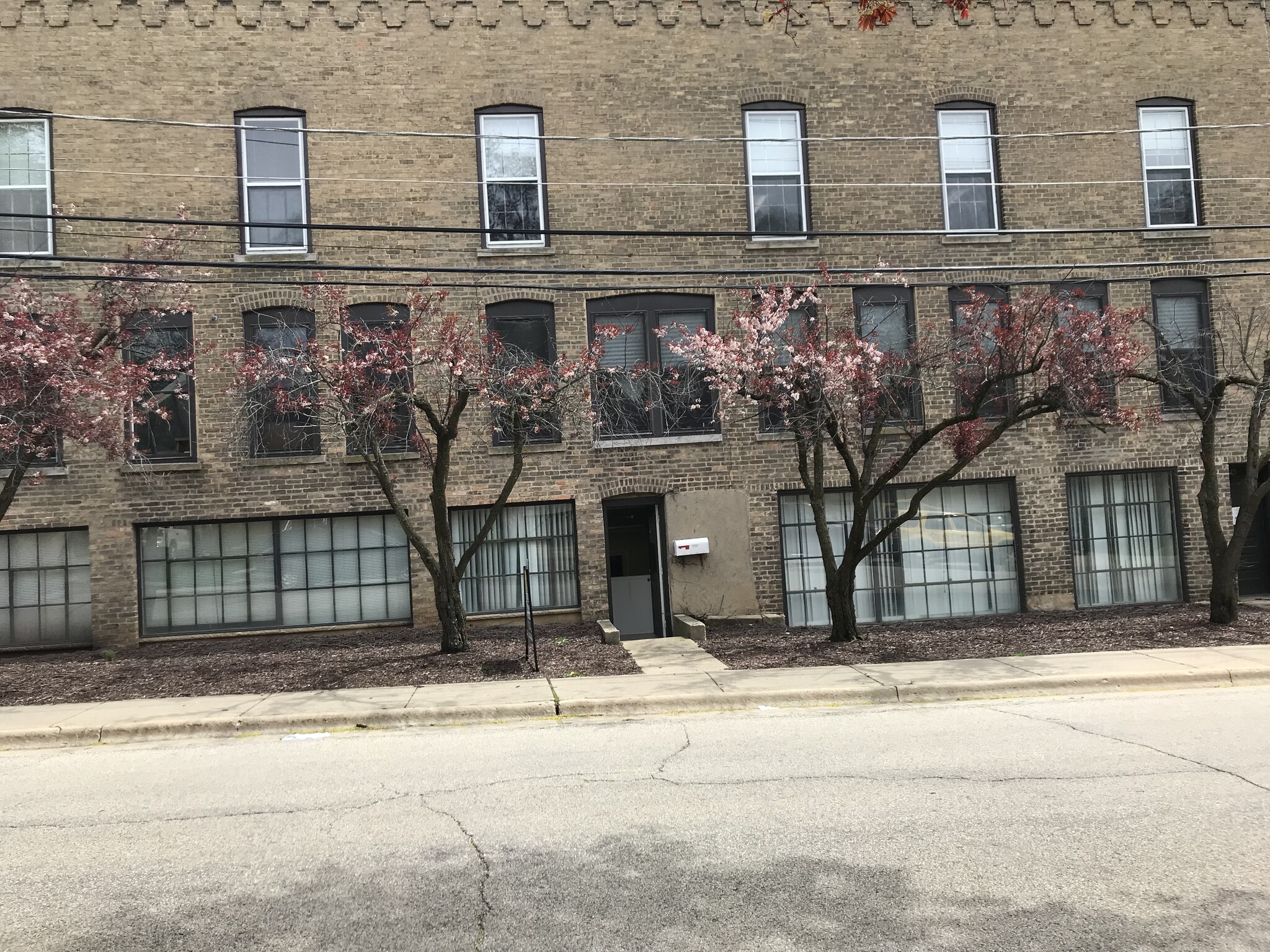 11-17 N Union St, Elgin, IL for Rent