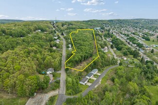Endicott, NY Commercial Land - 94 Skye Island Dr Endicott, NY Commercial Land - 94 Skye Island Dr