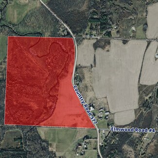 Menominee, MI Commercial - County Road 577 & Elmwood Road #4