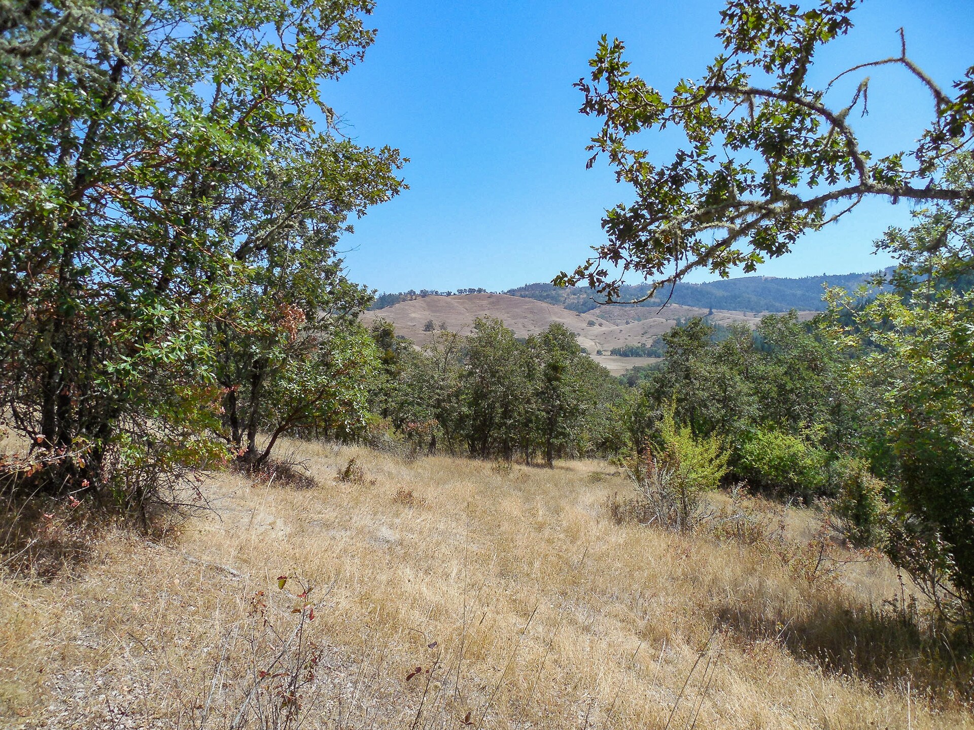 0 N Umpqua Hwy, Roseburg, OR for Sale