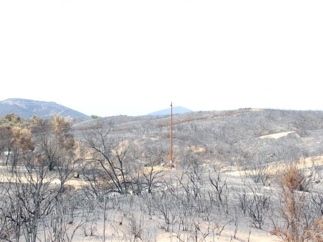 Bunny Dr, Jamul, CA for Sale