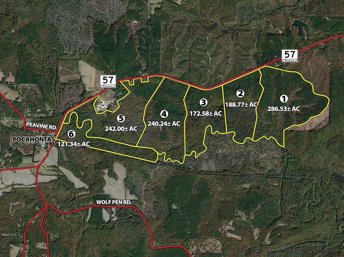 57 Pocahontas rd, Pocahontas, TN for Sale