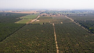 Biggs, CA Agricultural Land - 2099 Hwy 70