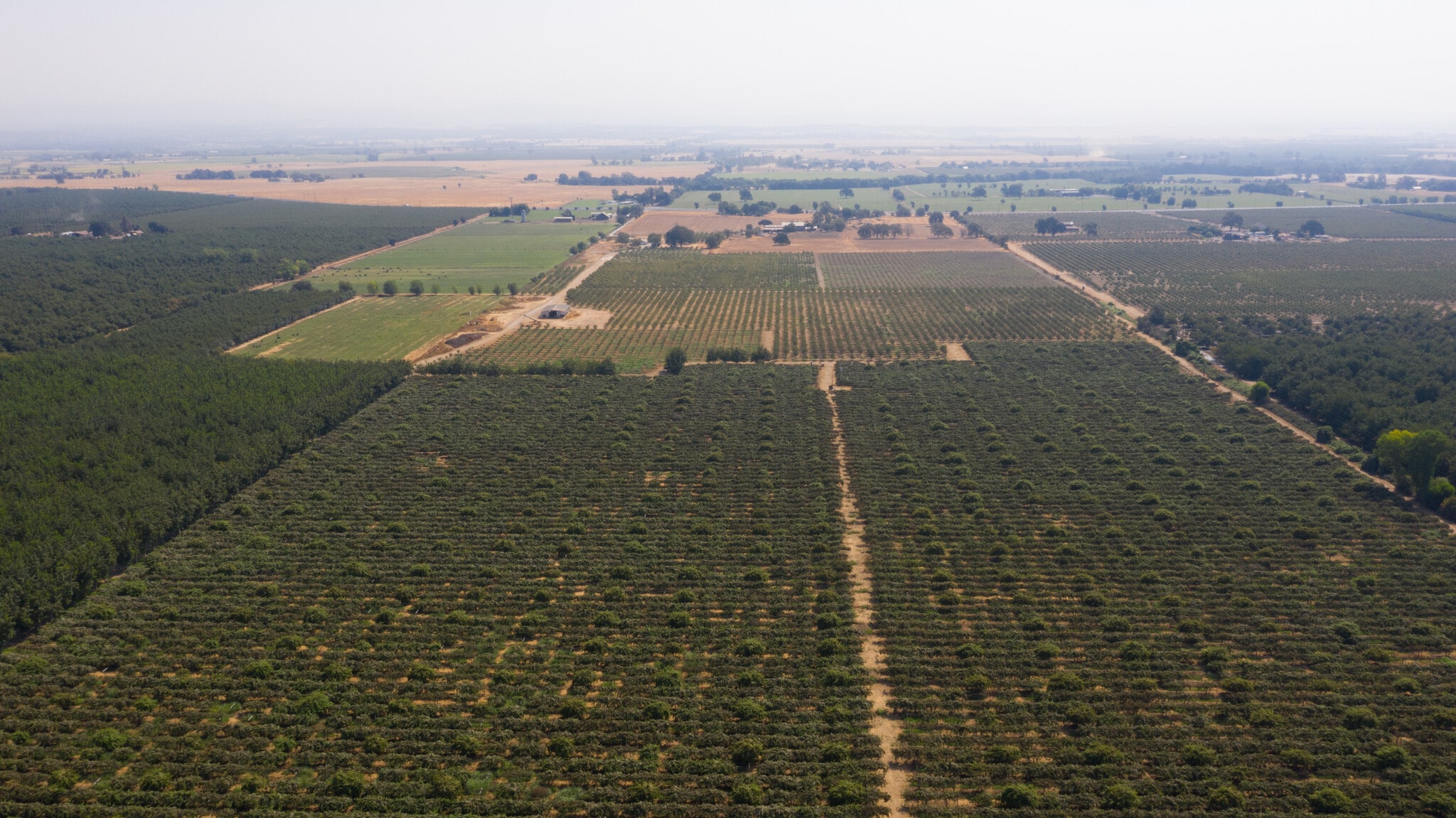 2099 Hwy 70, Biggs, CA for Sale