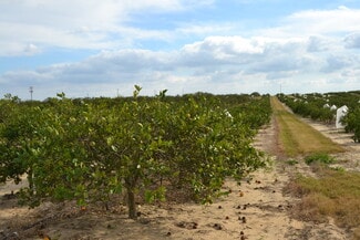 Babson Park, FL Agricultural - Scenic Highway Babson Park, FL Agricultural - Scenic Highway