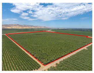 Patterson, CA Agricultural Land - 1250 W. Marshall Rd