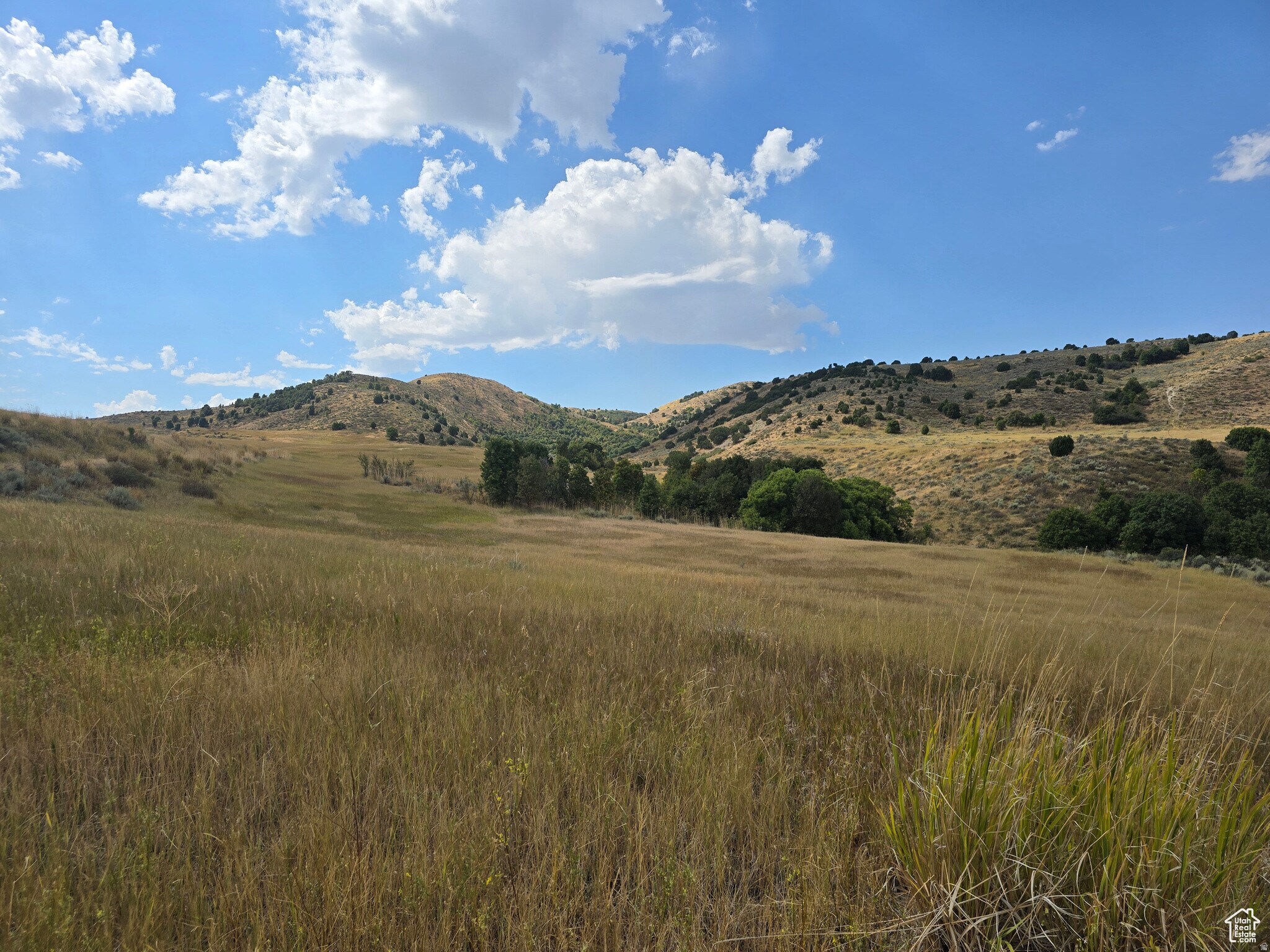 8400 8200 N, Newton, UT for Sale