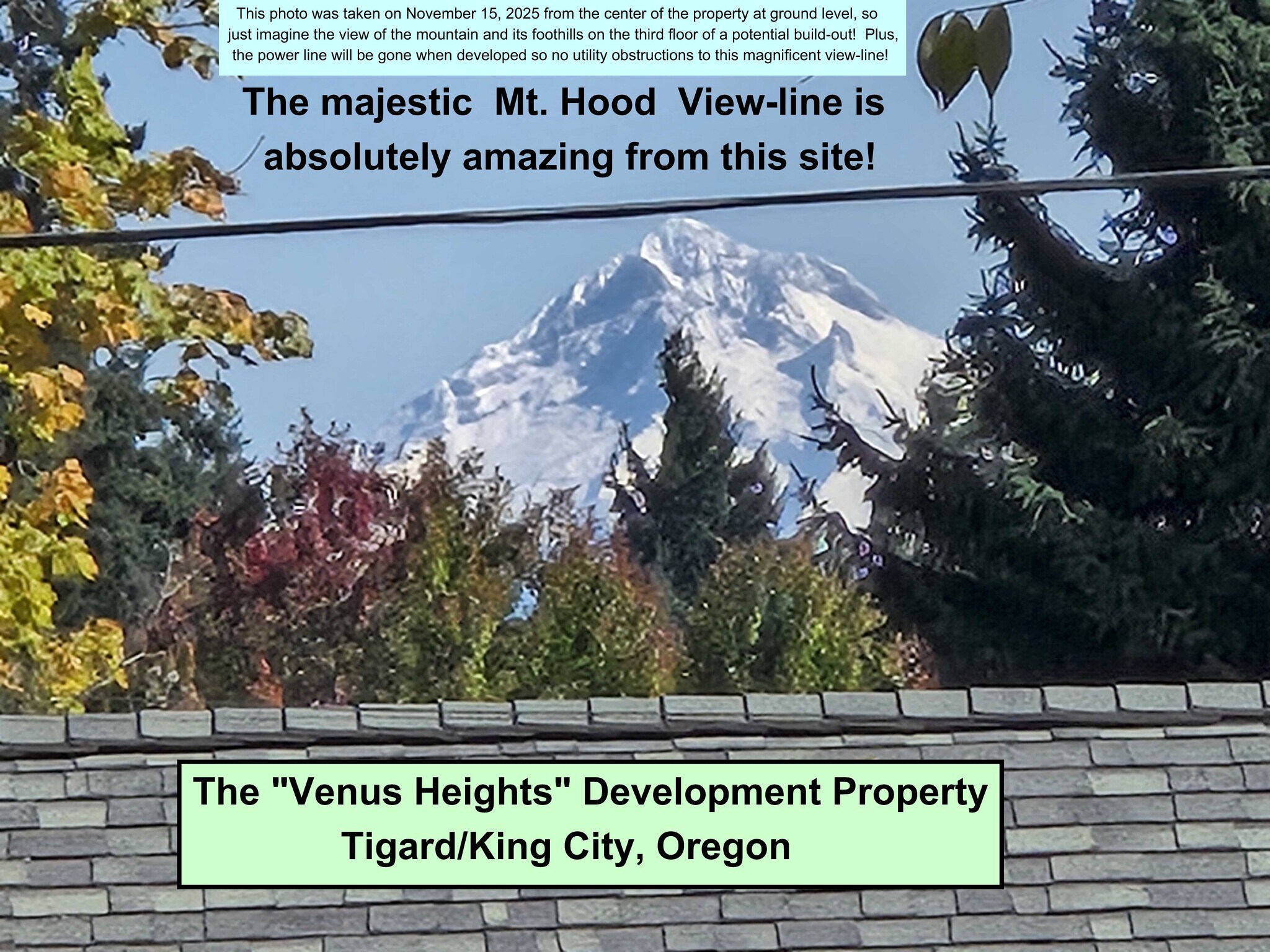 14187 SW 100th Ave, Tigard, OR for Sale