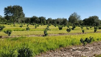 Fellsmere, FL Agricultural Land - 14255 113th St Fellsmere, FL Agricultural Land - 14255 113th St