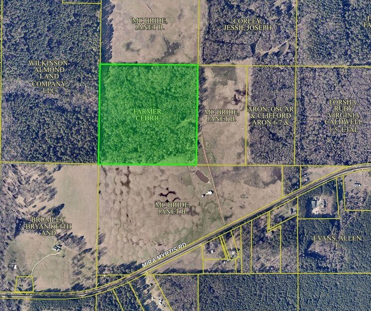 0 0 Myra Myrtis Rd, Rodessa, LA for Sale