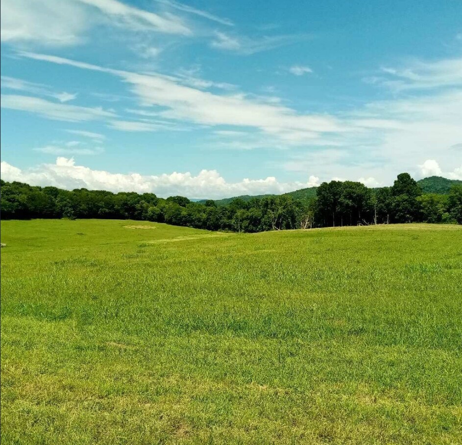 Bradyville Pike, Readyville, TN for Sale