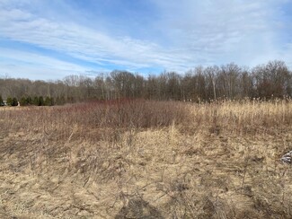 Mantua, OH Industrial - Timber Pointe Trl