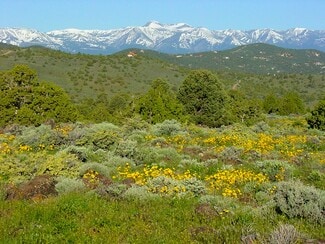 Virginia City, NV Residential - Virginia City Highlands: Lakeview Ranch