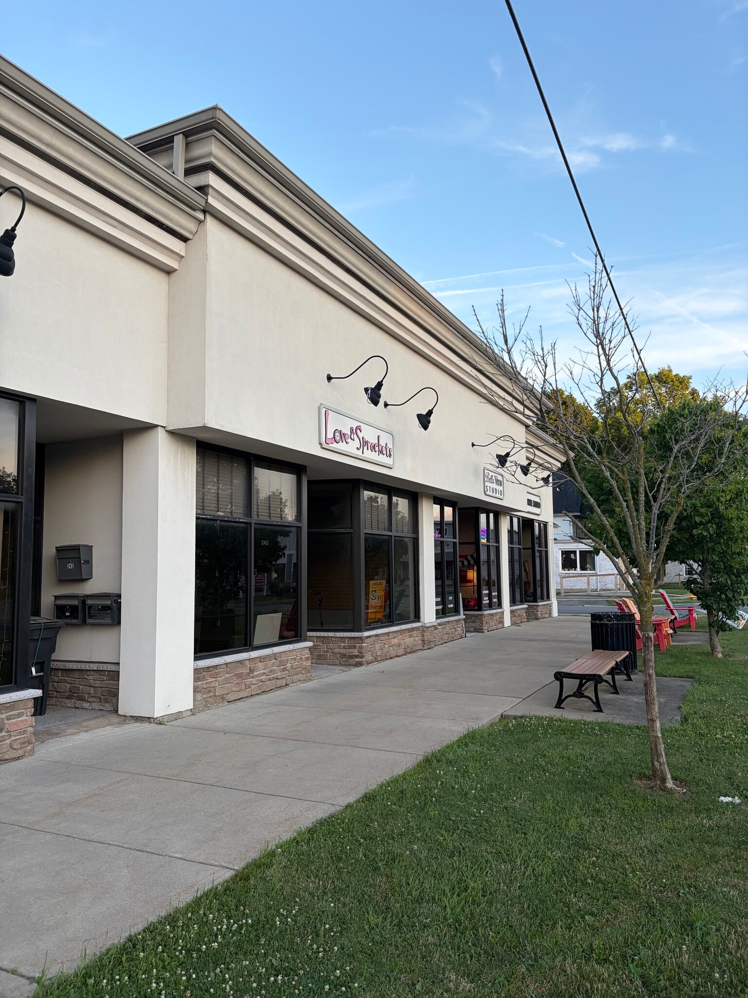 239-243 Buffalo St, Hamburg, NY for Rent