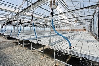 Kelseyville, CA Agricultural - 6245 Gold Dust Dr