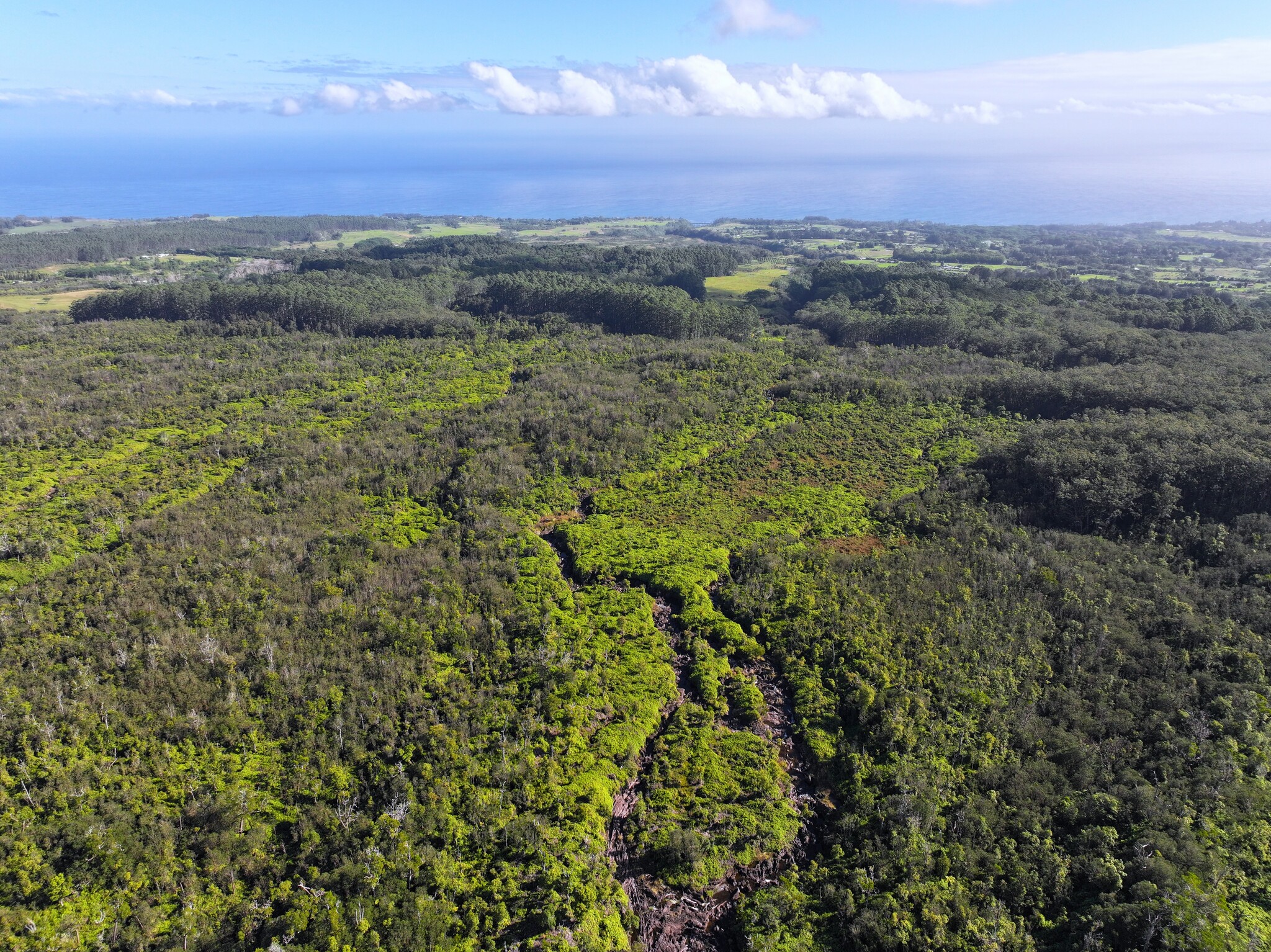 29-773 Chin Chuck Rd, Hakalau, HI for Sale