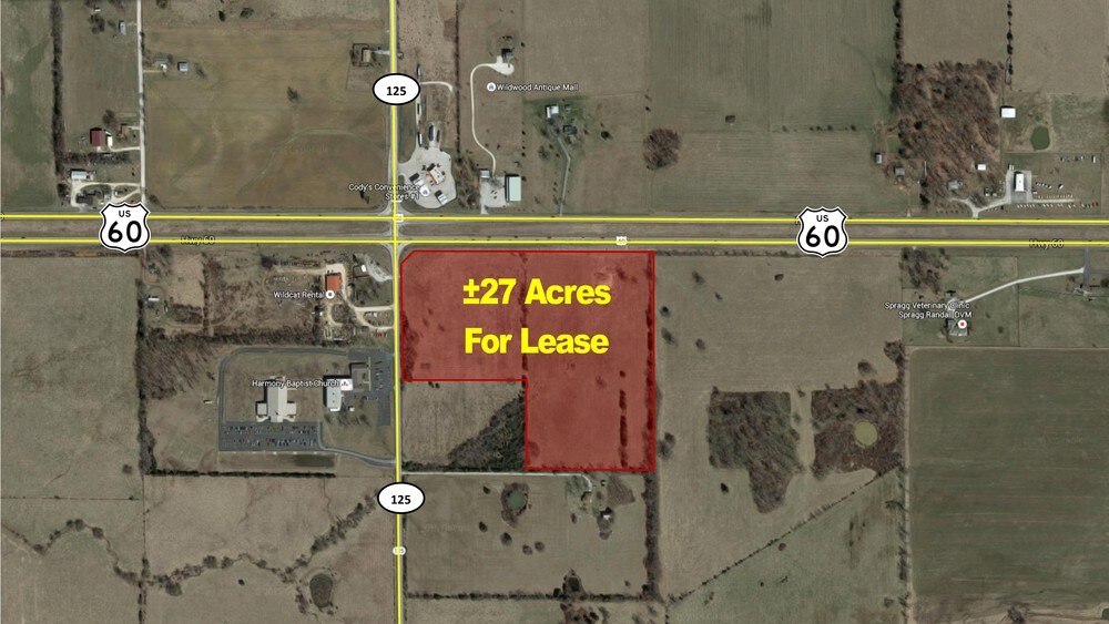 East US HWY 60 & 125, Rogersville, MO for Rent