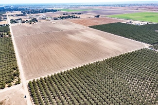 Bakersfield, CA Agricultural Land - 345 Driver Rd