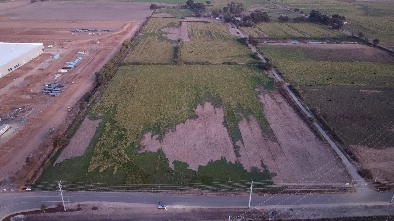 10313 Grant Line Rd, Elk Grove, CA for Sale