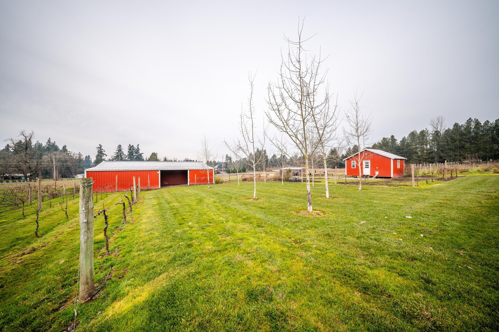 1483 SW Hoffman Rd, West Linn, OR for Sale