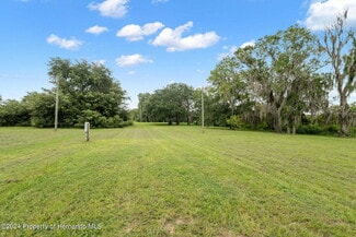 Wesley Chapel, FL Residential Land - 9028 McKendree Rd
