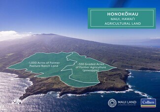 Wailuku, HI Agricultural Land - Honokohau Wailuku, HI Agricultural Land - Honokohau