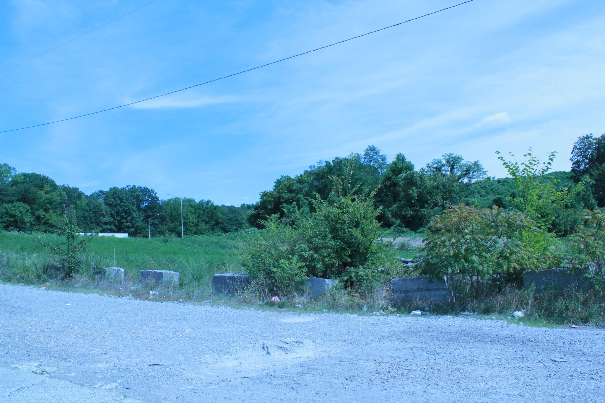 129 Longfield Rd, Rocky Top, TN for Sale