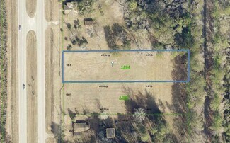 Mount Vernon, AL Residential Land - 20000 U.S. 43