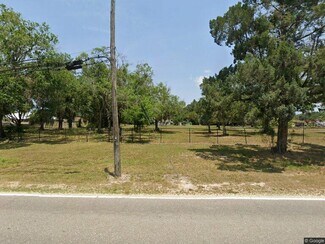 Lutz, FL Agricultural Land - 21325 County Line Rd