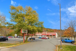 Milford, PA Retail - 501 W Harford St