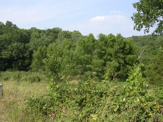 Branson, MO Commercial Land - Frank Rea Blvd At Garges Way And Scott Blvd