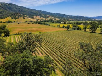 Potter Valley, CA Agricultural - 13700 Eel River Rd