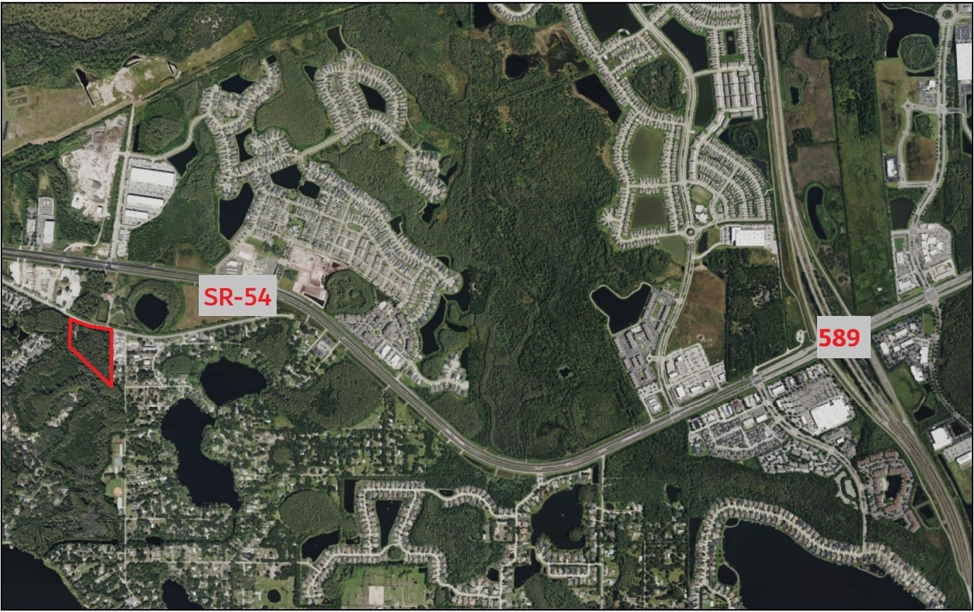 14356 Black Lake Rd, Odessa, FL for Sale