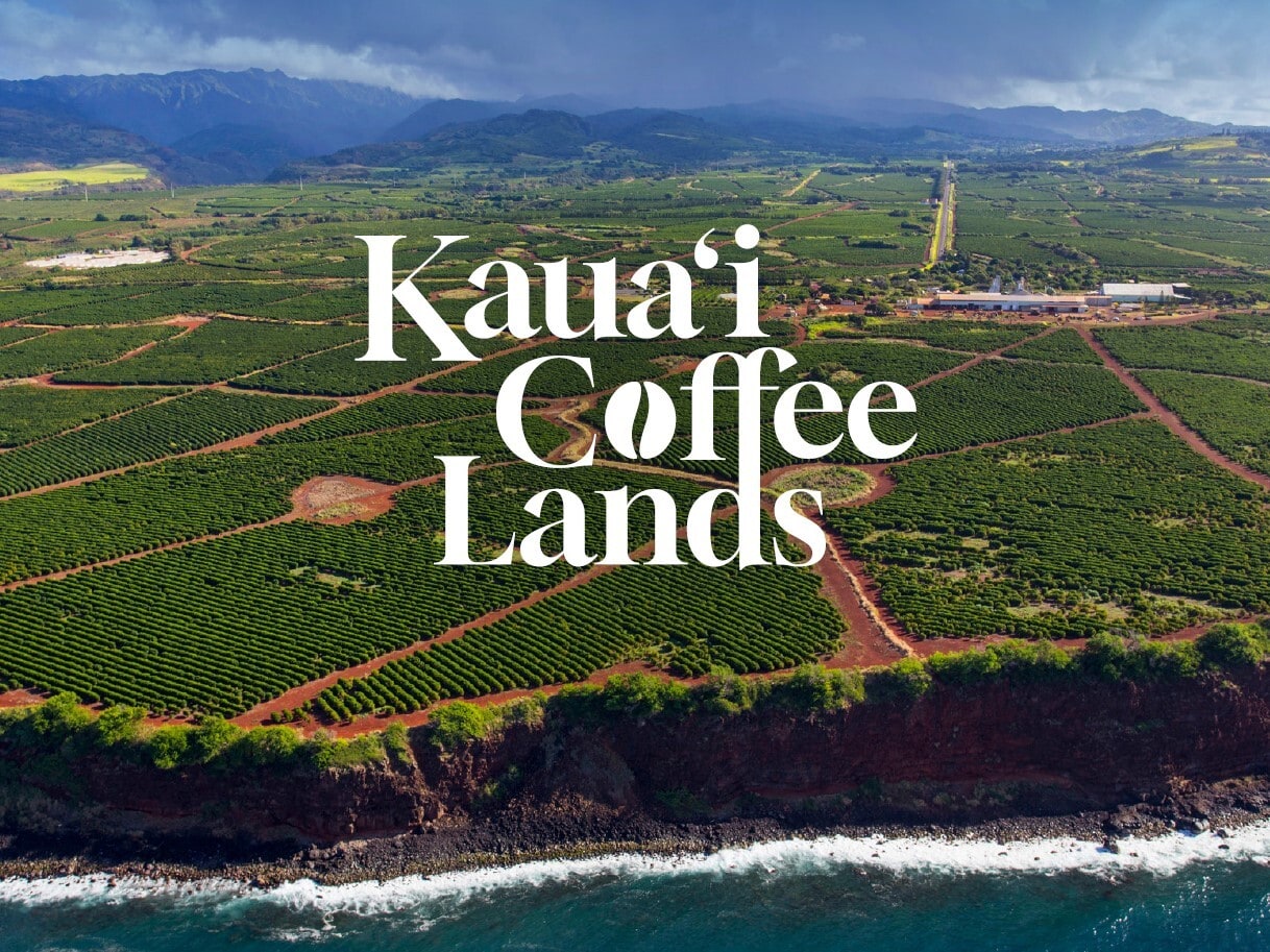 870 Halewili rd, Kalaheo, HI for Sale