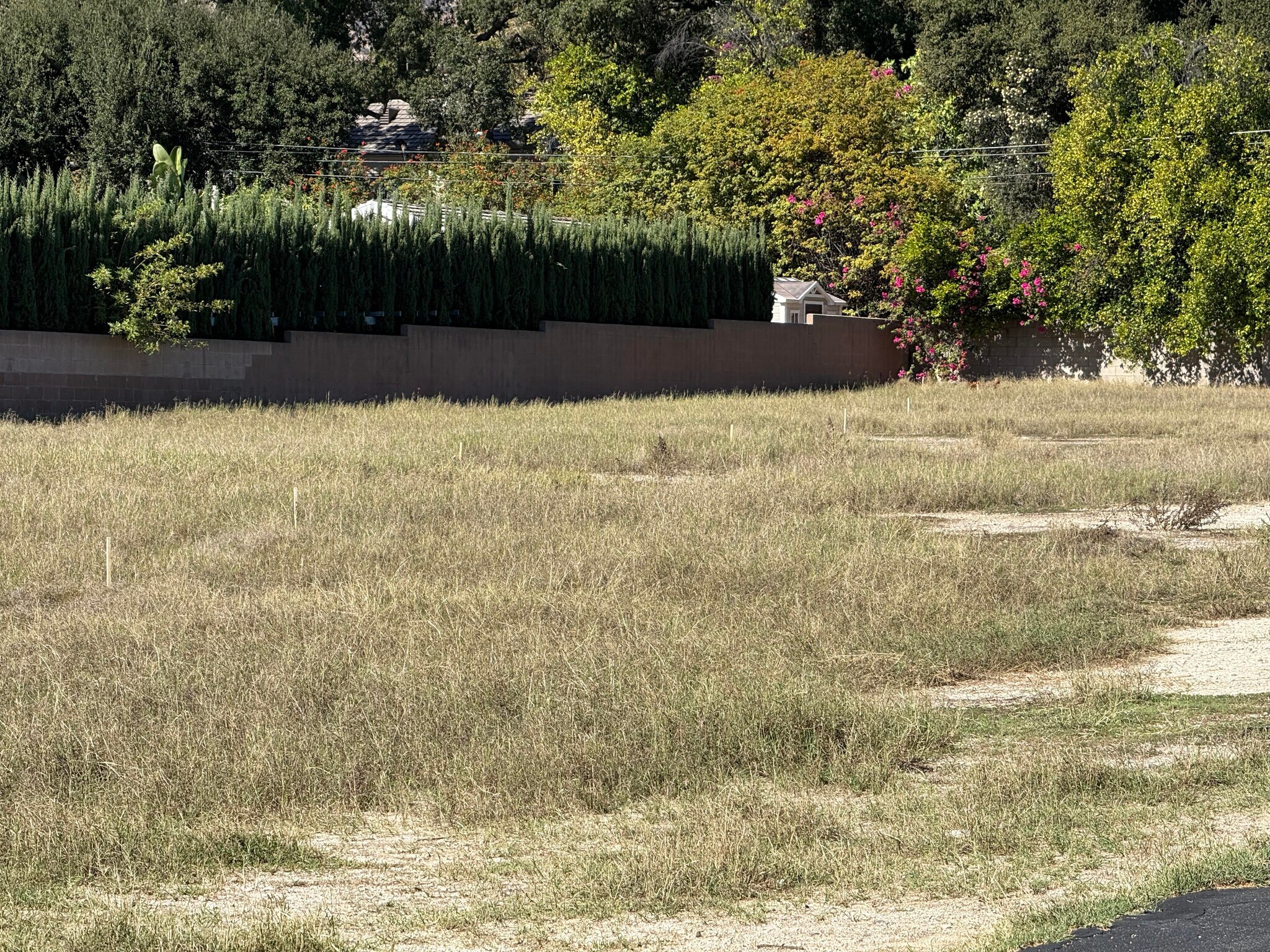 21 W Foothill Blvd, Arcadia, CA for Rent