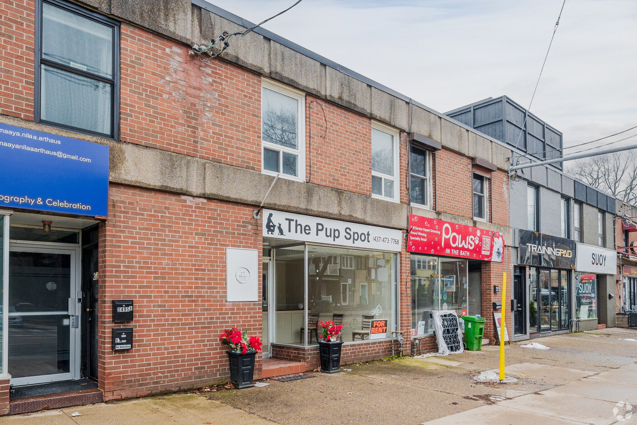 2493 Queen St E, Toronto, ON for Rent