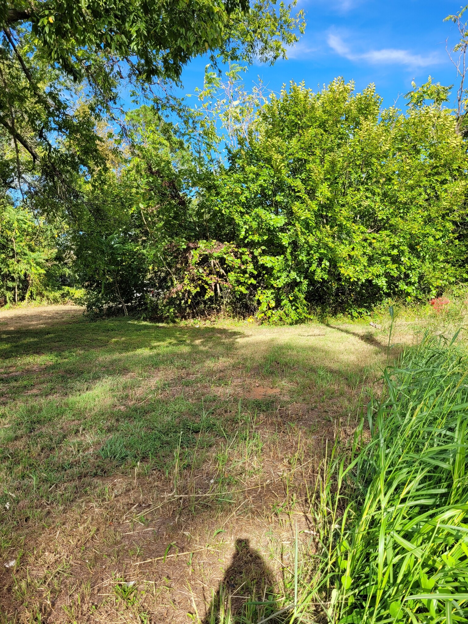 606 1st NE st, Paris, TX for Sale