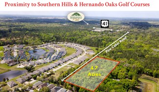 Brooksville, FL Residential Land - 1 Pine Cabin Rd. Brooksville, FL Residential Land - 1 Pine Cabin Rd.